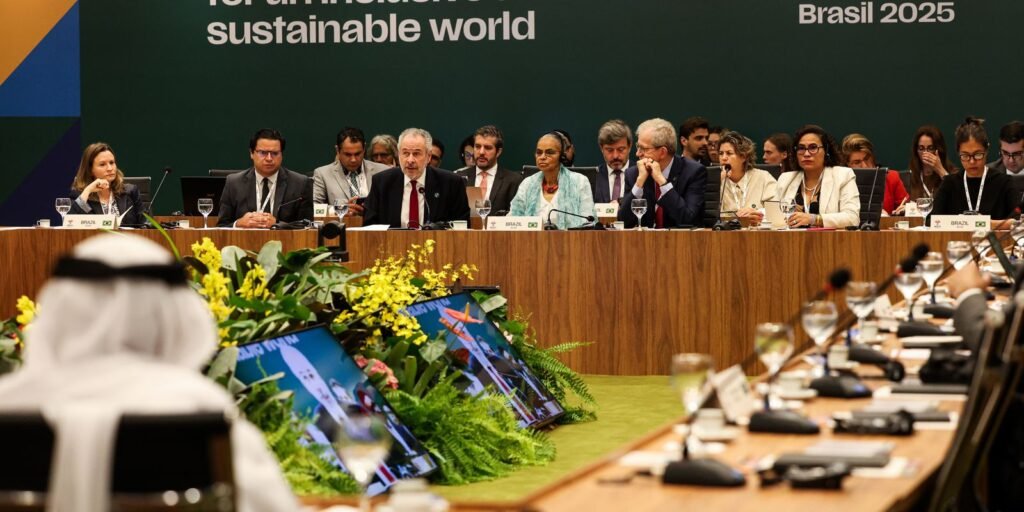ministros-de-meio-ambiente-do-brics-se-reunem-em-brasilia