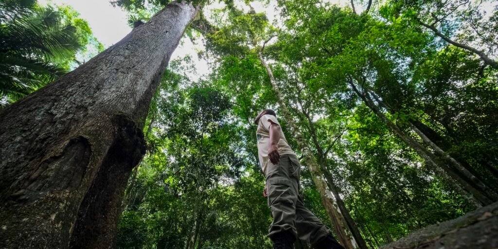 rio-de-janeiro-sediara-premio-ambiental-criado-pelo-principe-william