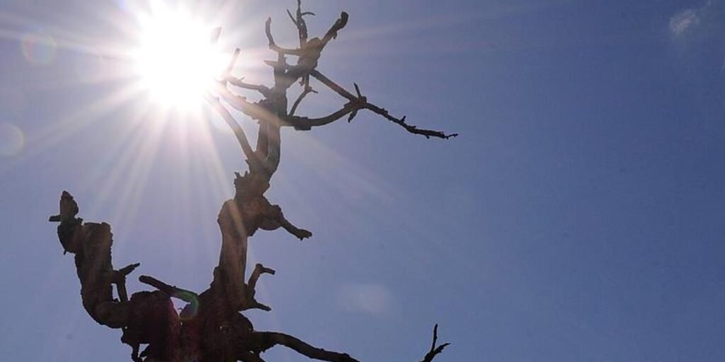 cmn-prorroga-financiamentos-do-fundo-constitucional-do-nordeste