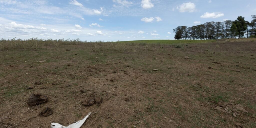 seca-persiste-em-1,9-mil-municipios-brasileiros