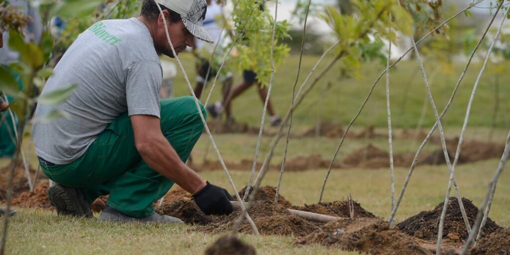 viva-maria:-movimento-incentiva-plantio-de-arvores-em-memoria-do-papa