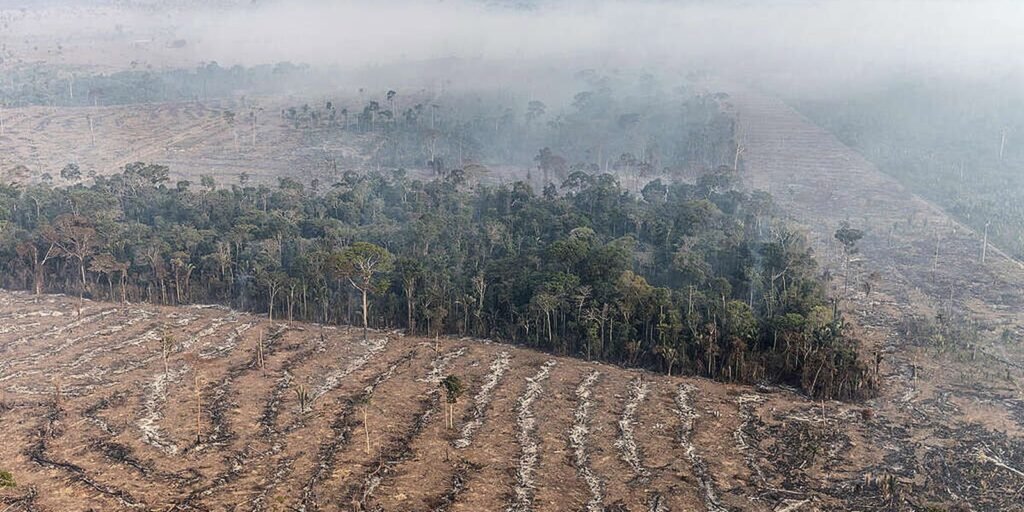 stf-permite-desapropriacao-de-terra-por-incendio-ilegal-e-desmatamento