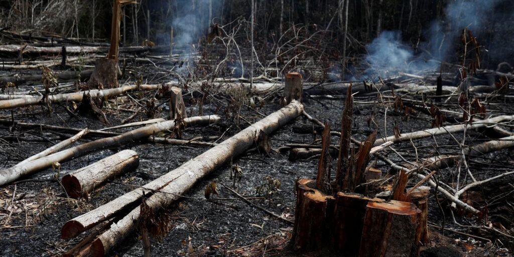 governo-federal-lanca-leilao-para-recuperar-terras-degradadas