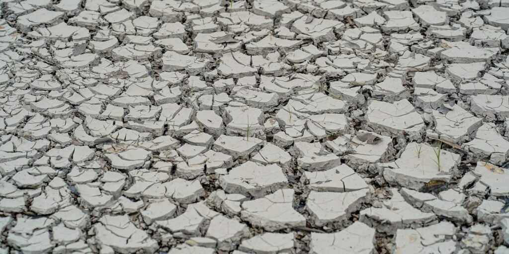 seca-se-intensifica-no-nordeste;-29%-do-territorio-registra-seca-grave