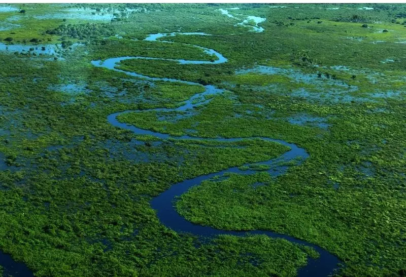 Cáceres_Pantanal