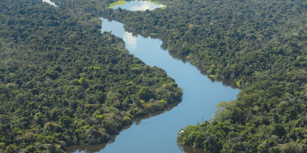 viva-maria:-unb-sedia-forum-internacional-sobre-a-amazonia