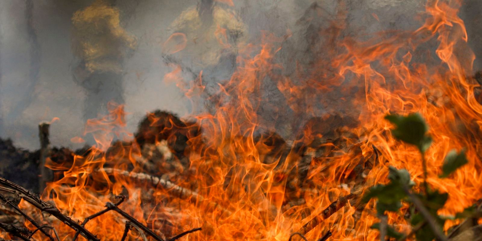 policia-federal-inicia-operacao-de-combate-a-incendios-florestais
