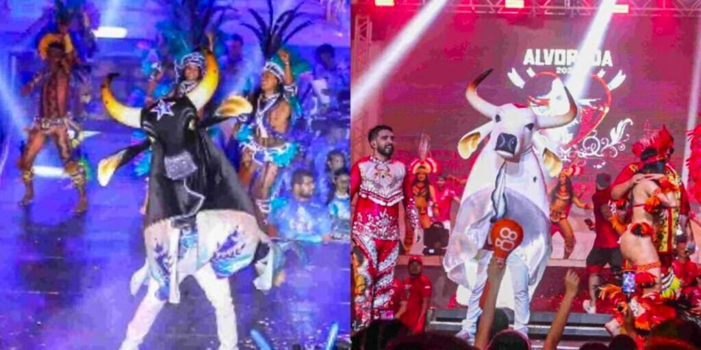 festival-de-parintins-conhece-vencedor-nesta-segunda-(30)