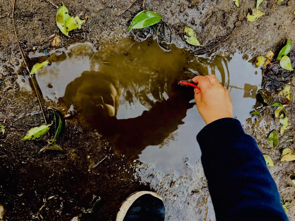 Oficinas gratuitas no Parque Barigui celebram o meio ambiente