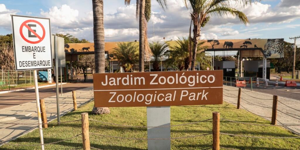 zoologico-de-brasilia-reabre-ao-publico-apos-casos-de-gripe-aviaria