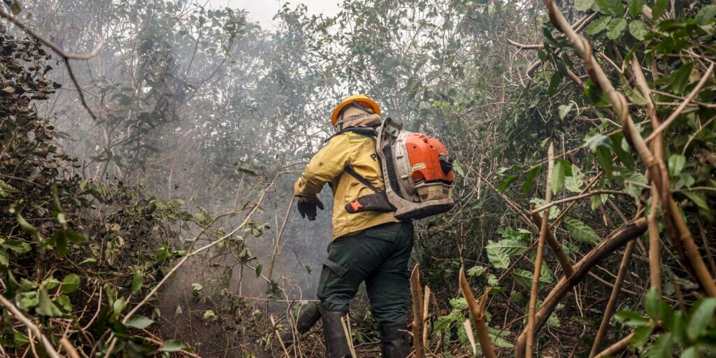 combate-a-incendios-florestais-podem-ter-recursos-do-fundo-amazonia
