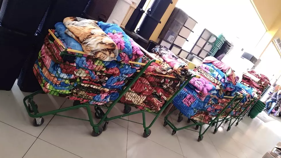 campanha do Instituto Sow