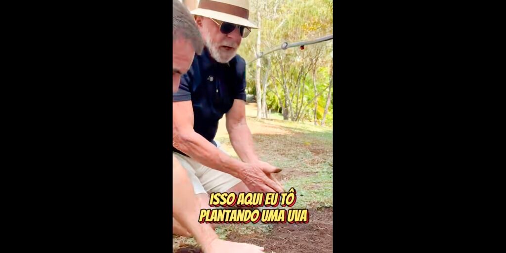 em-video-a-trump,-lula-planta-uva-e-diz-semear-comida-e-nao-odio