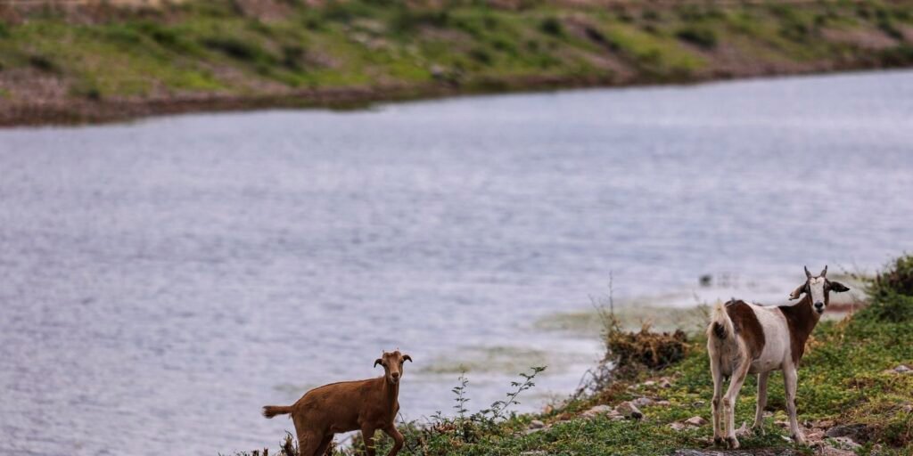 aguas-do-rio-sao-francisco-chegam-ao-rio-grande-do-norte