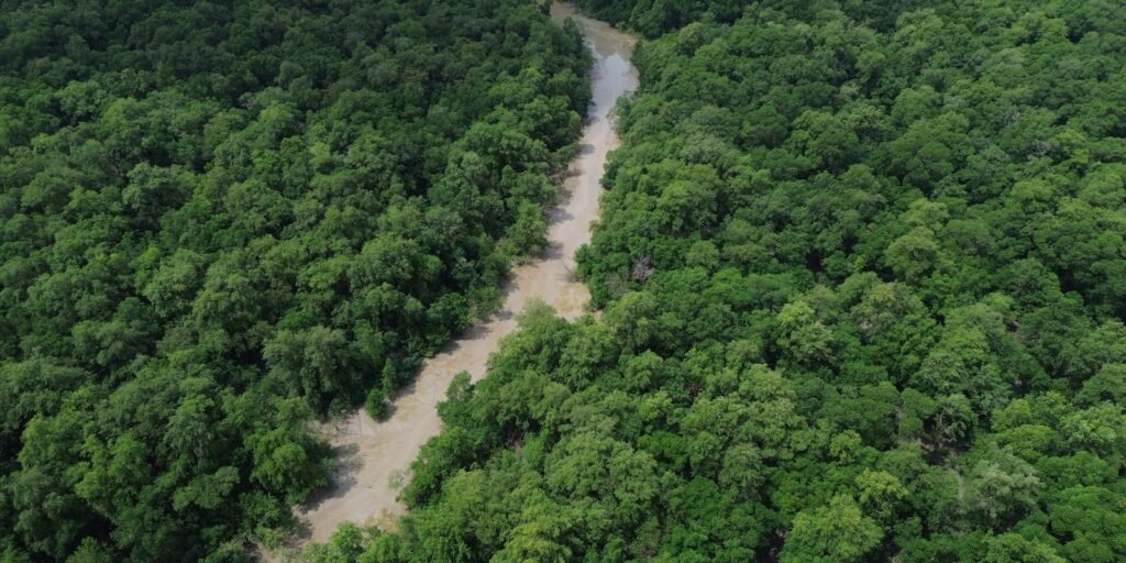 tratado-de-cooperacao-amazonica-reforca-compromissos-da-cop30