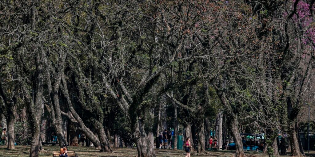 cidade-de-sao-paulo-tem-agosto-mais-seco-desde-2020