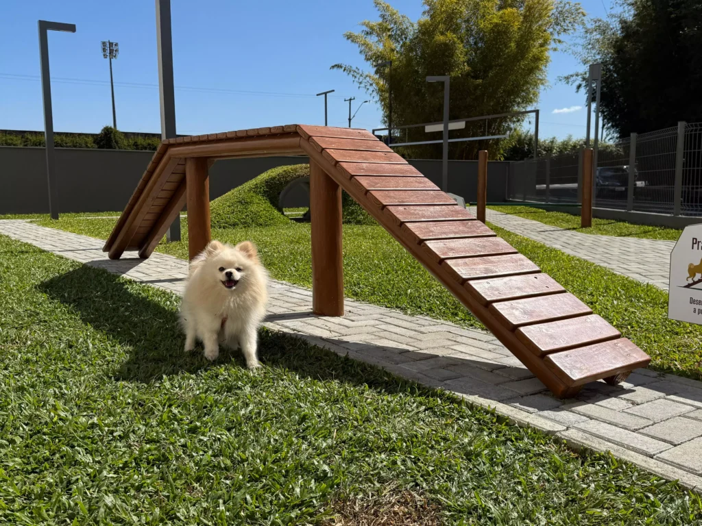 Espaco Pet Jockey_creditos_Gabriel Almeida