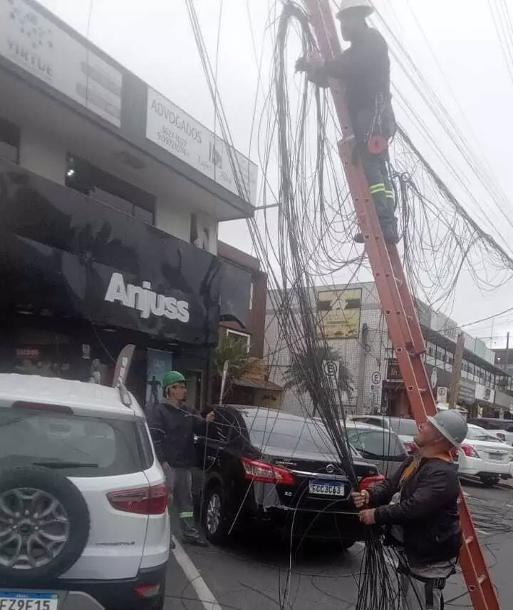 Organiza cabos Araucária (1)