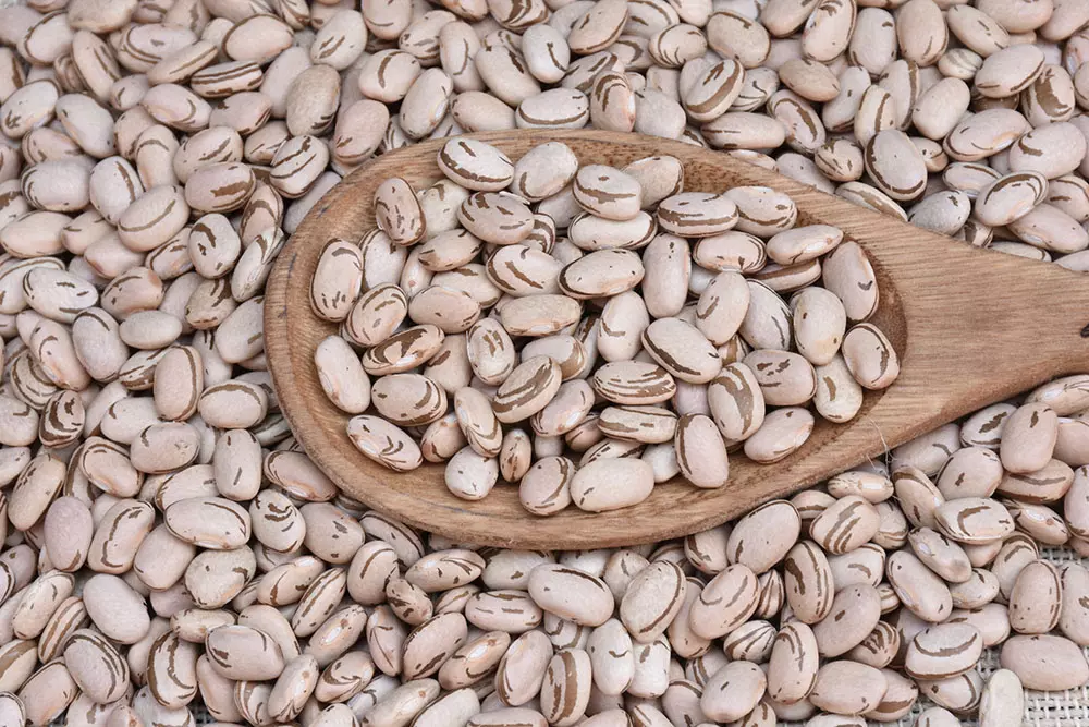 Cultivar apresenta teores mais elevados de ferro e zinco. Foto: Sebastião José de Araújo