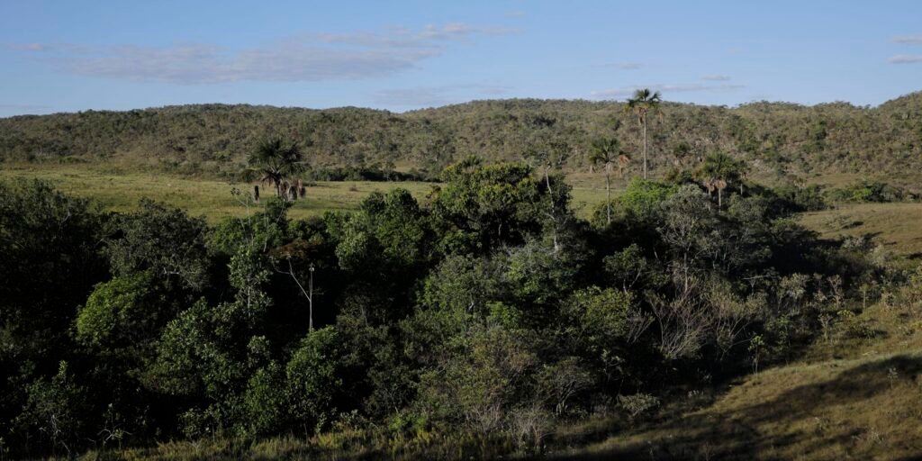 viva-maria-reforca-campanha-pela-protecao-do-cerrado