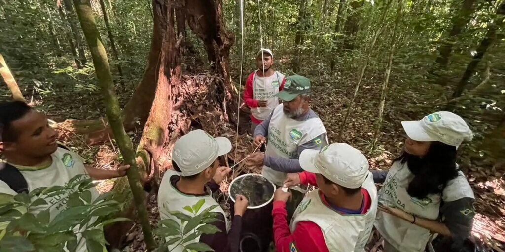 comunidade-de-marajo-participa-de-projeto-que-monitora-biodiversidade