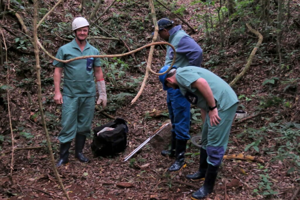 morcegos-e-vacinacao:-acoes-da-adapar-protegem-rebanhos-e-saude-publica-contra-a-raiva