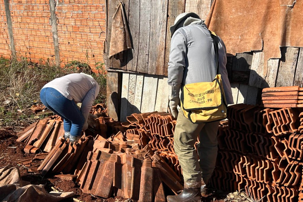 estado-e-prefeitura-de-cambara-se-unem-para-prevenir-acidentes-com-escorpioes