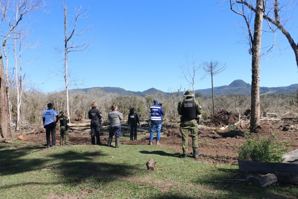 departamento-de-pericia-ambiental-acelera-resposta-do-parana-a-crimes-contra-fauna-e-flora
