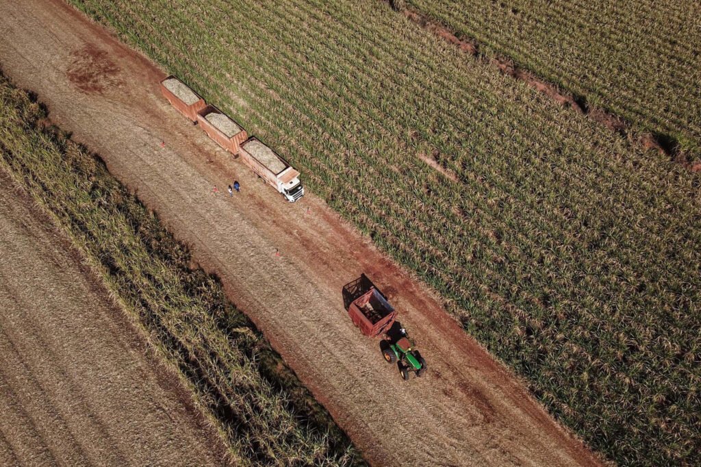 parana-cresce-tres-vezes-acima-da-media-nacional-em-agosto,-aponta-banco-central