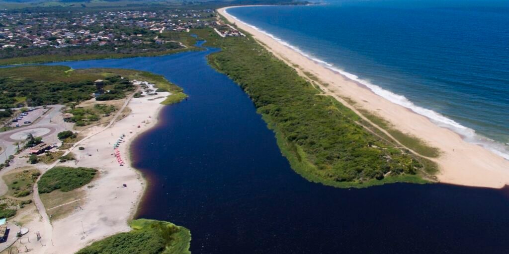 mapbiomas-aponta-que-mata-atlantica-perdeu-11,5%-de-area-em-40-anos