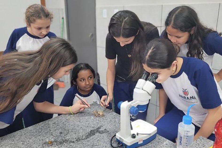 com-apoio-do-estado,-feira-de-ciencias-vai-reunir-1,5-mil-participantes-em-curitiba