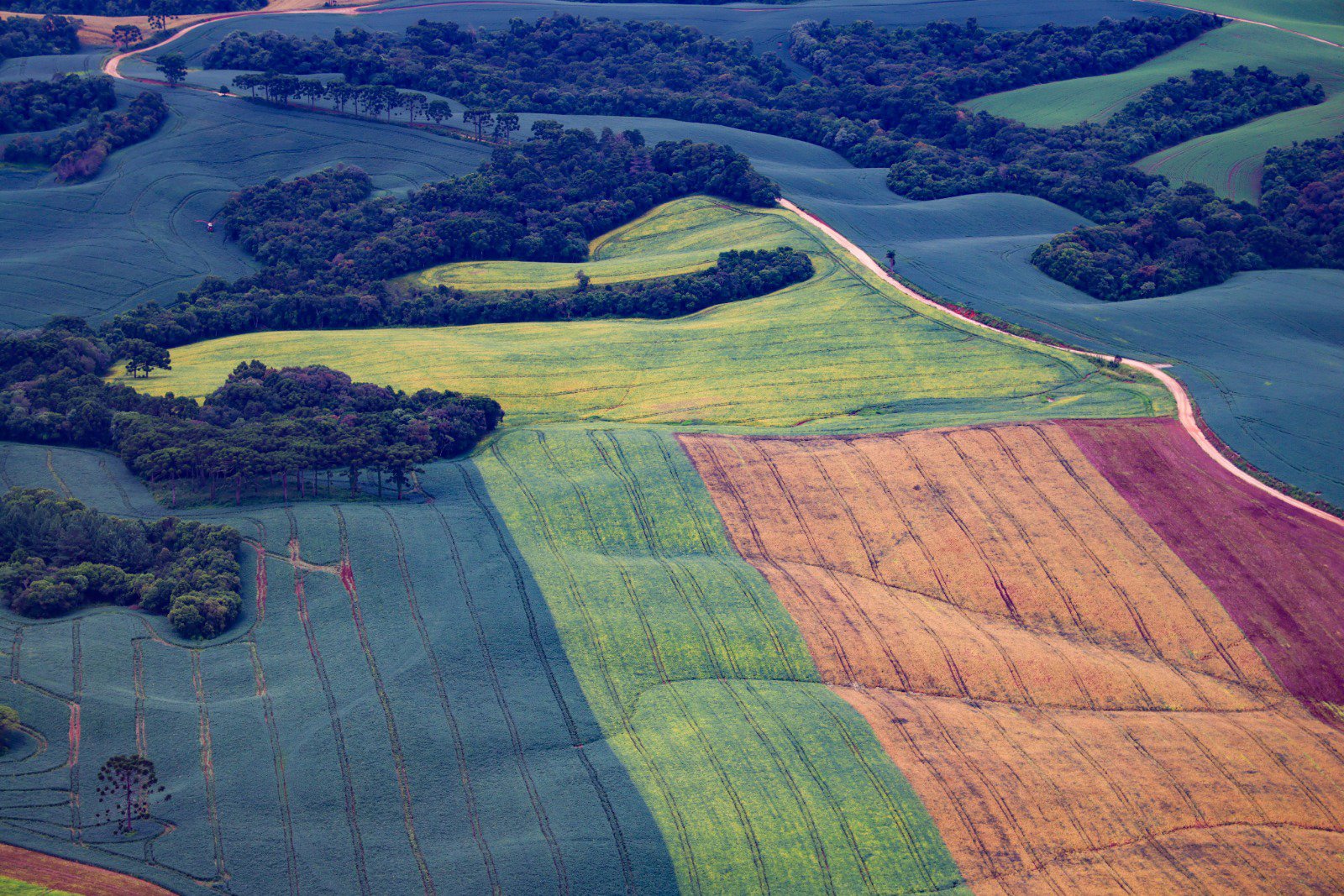 trf4-mantem-vitoria-do-parana-sobre-legislacao-ambiental-e-da-seguranca-aos-agricultores