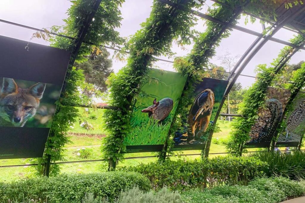 exposicao-“fauna-da-mata-atlantica”-entra-em-cartaz-no-jardim-botanico-de-curitiba
