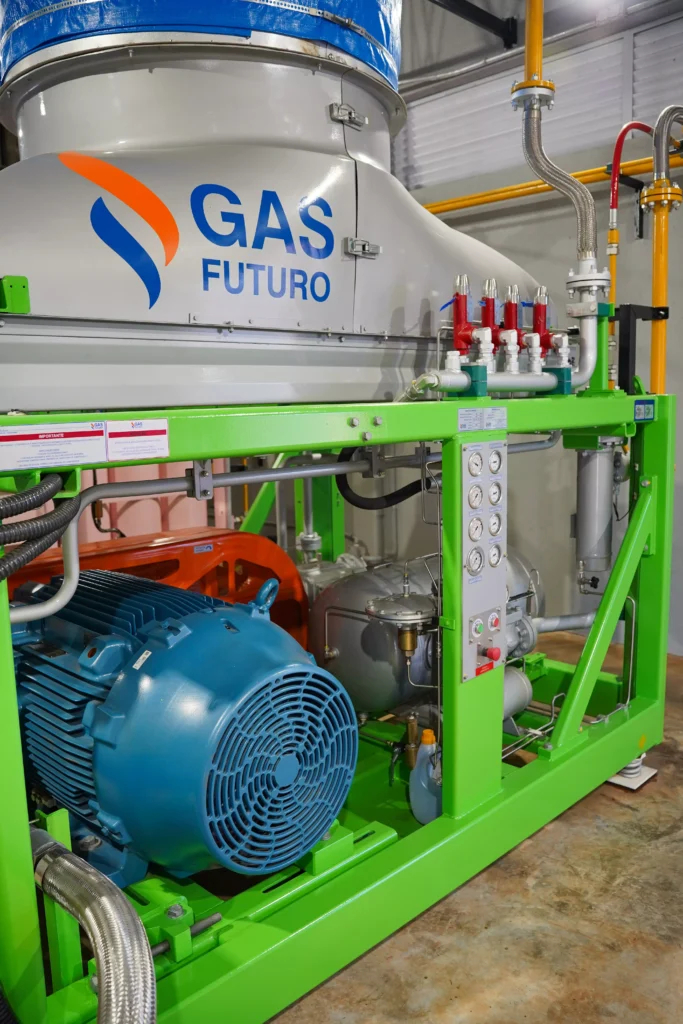 Ismanya Iasmym Nalim Guimarães Parada Vendrami