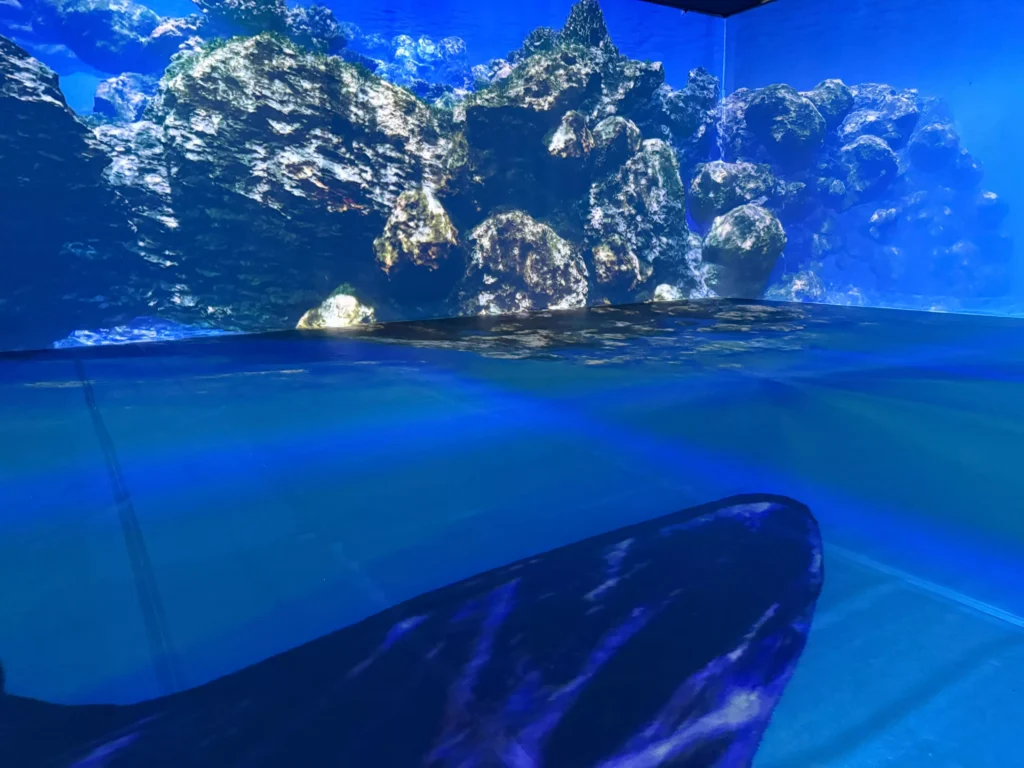 Projeção Digital Fundo do Mar