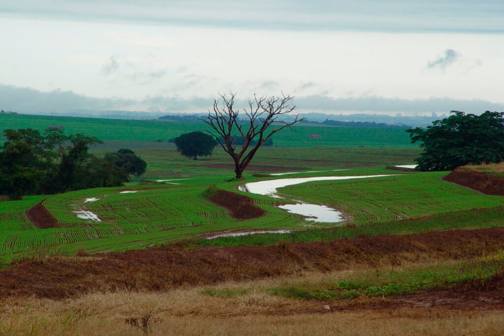 estado-apoia-reivindicacoes-para-amortizar-dividas-de-produtores-apos-temporais