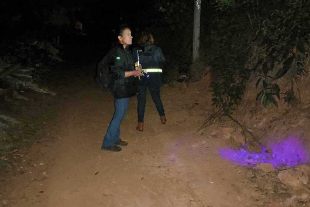 acoes-da-saude-no-norte-pioneiro-capturam-mais-de-5-mil-escorpioes-desde-agosto