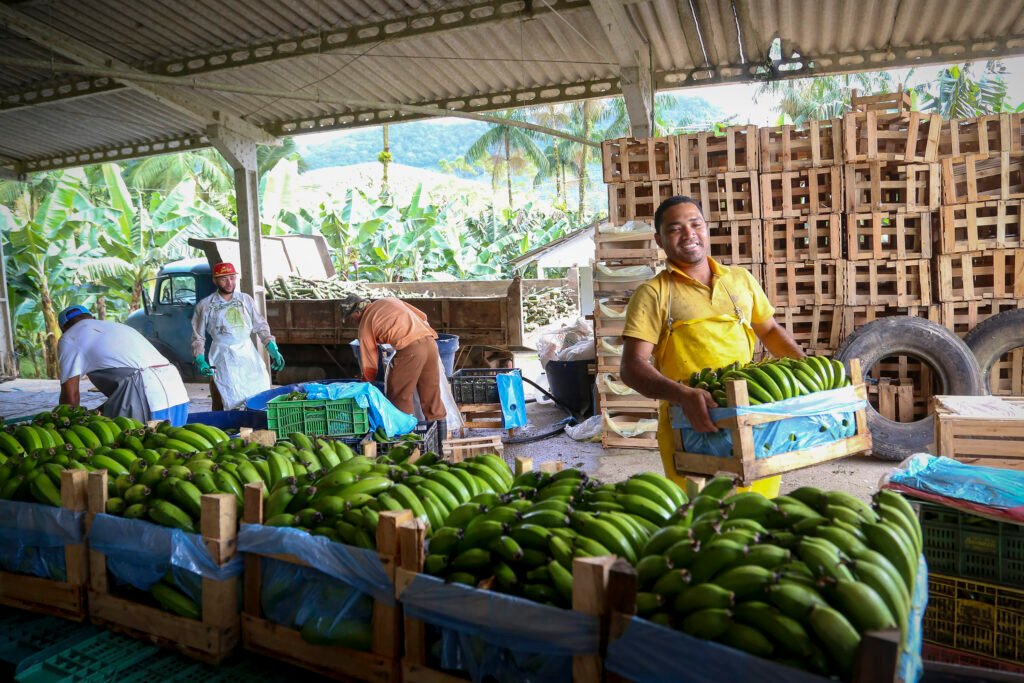 pavimentacao-de-estrada-rural-vai-facilitar-escoamento-da-producao-de-guaratuba