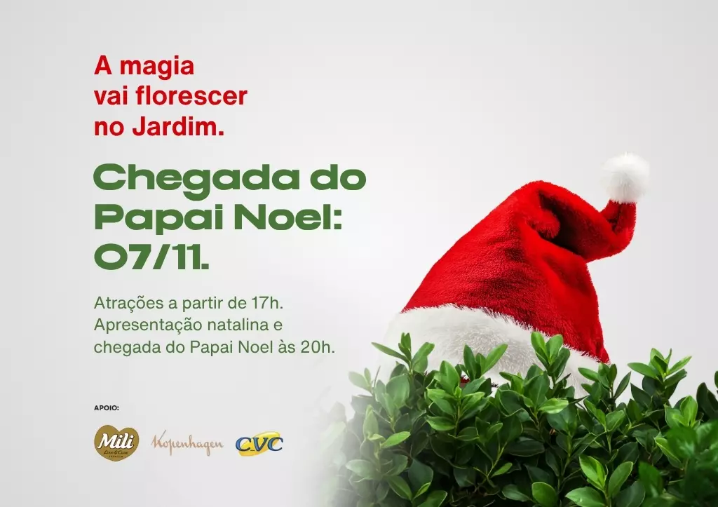 curitiba__Arte Natal