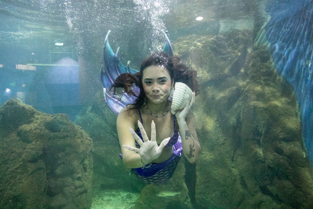 aquario-de-paranagua-tera-novos-animais-e-atracoes-especiais-para-a-temporada