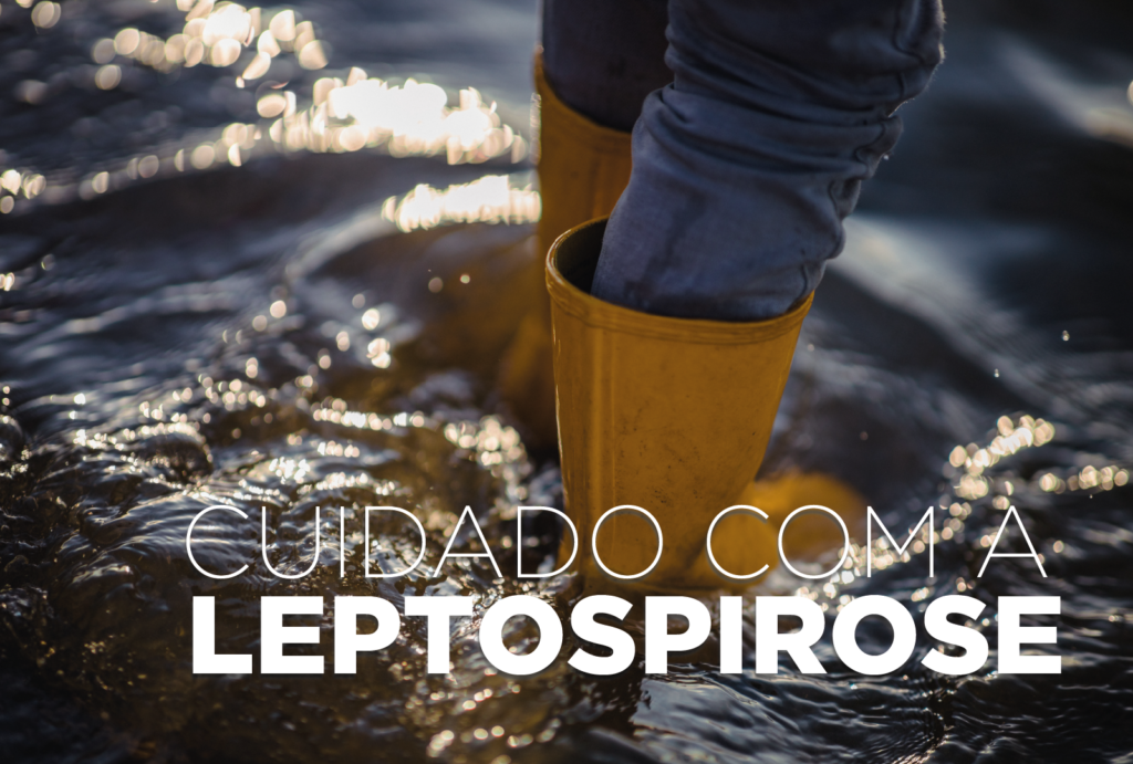 saude-alerta:-leptospirose-e-doenca-grave-e-risco-aumenta-apos-chuvas