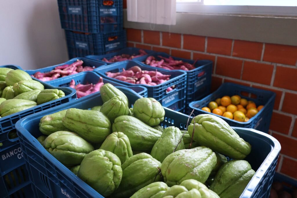 aparencia-x-qualidade:-estado-reforca-orientacoes-para-evitar-desperdicio-de-alimentos