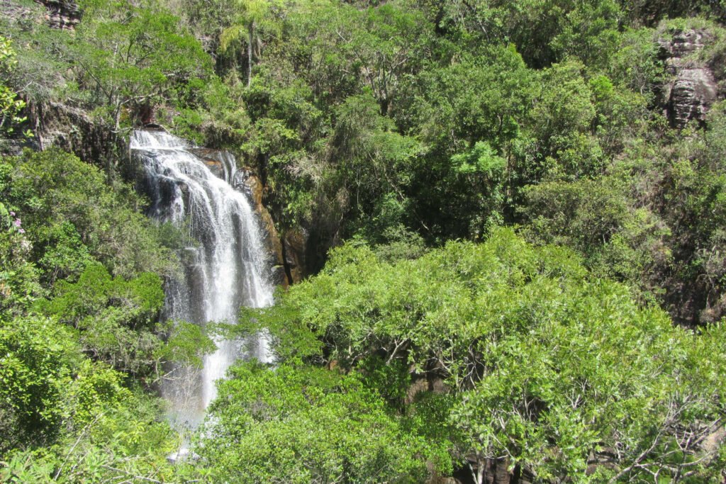 estado-divulga-relacao-final-de-reservas-naturais-do-edital-de-creditos-de-biodiversidade