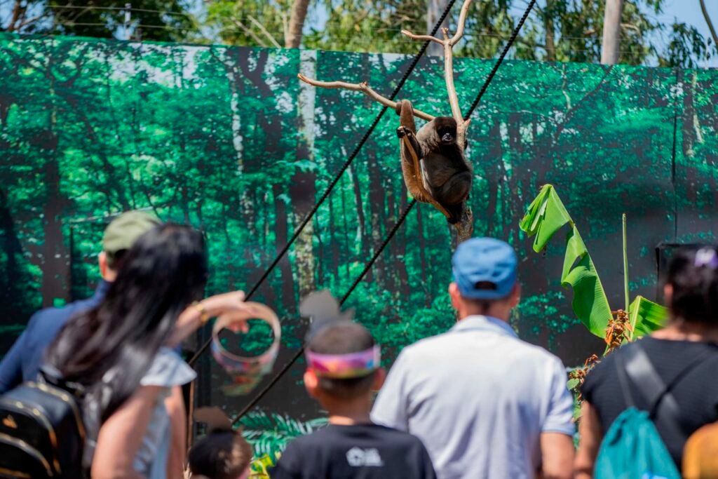 best-of-the-best:-com-foz-do-iguacu,-parana-marca-presenca-em-premiacao-internacional