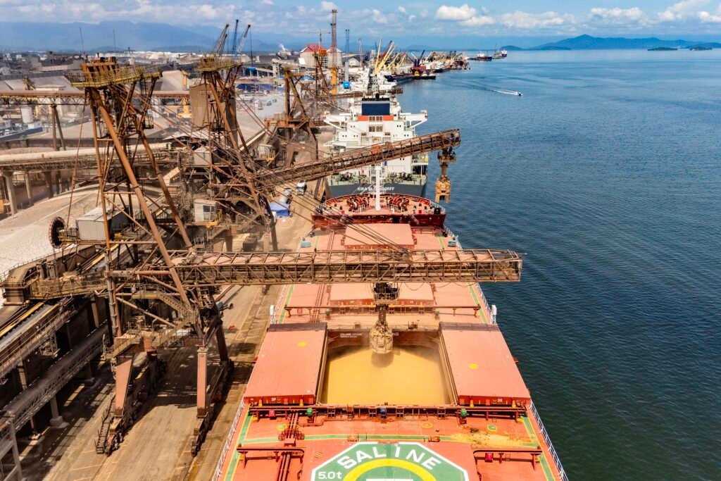 soja-e-carnes-lideram-exportacoes-pelos-portos-paranaenses-no-1o-bimestre