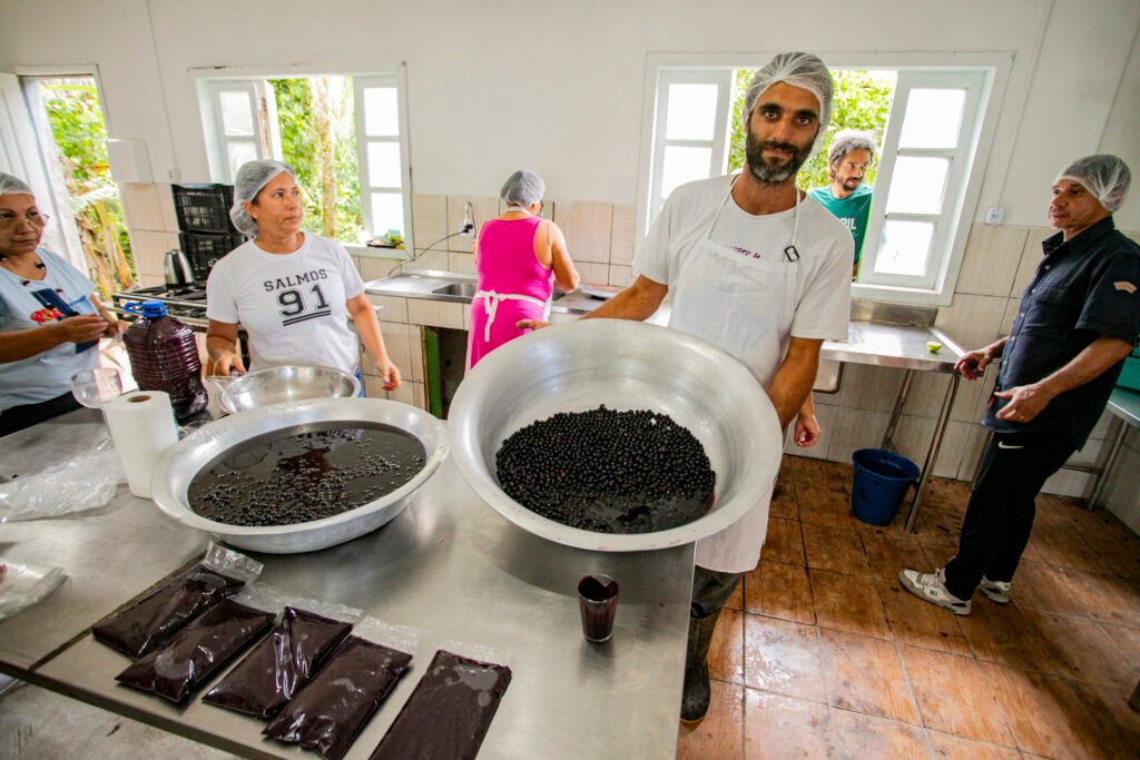 acai-jucara-vira-oportunidade-de-renda-para-comunidades-caicaras-no-litoral