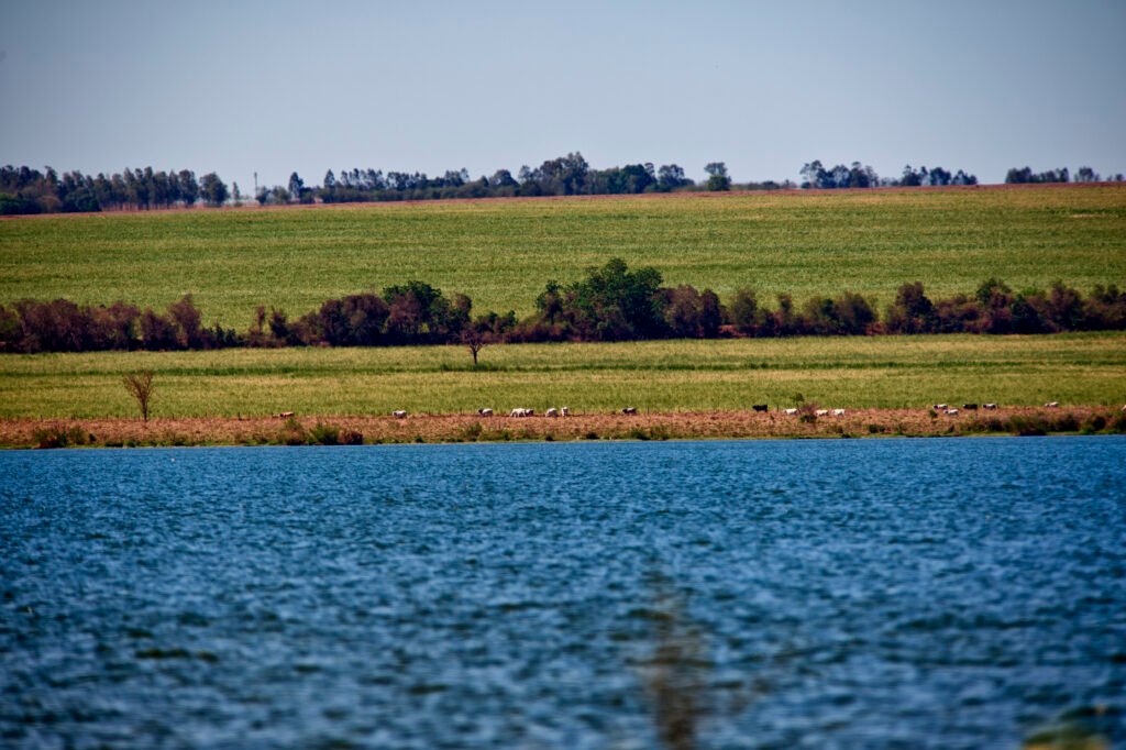 quatro-comites-de-bacias-hidrograficas-se-reunem-para-discutir-a-gestao-da-agua-no-parana