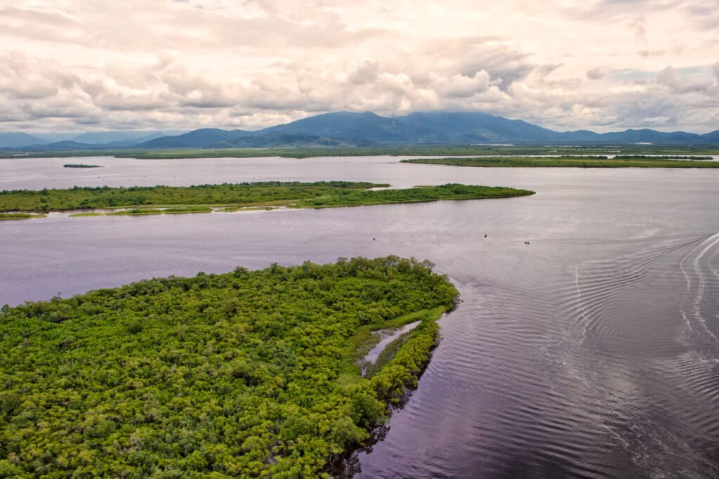 comites-de-bacias-hidrograficas-do-parana-discutem-gestao-da-agua-na-proxima-semana