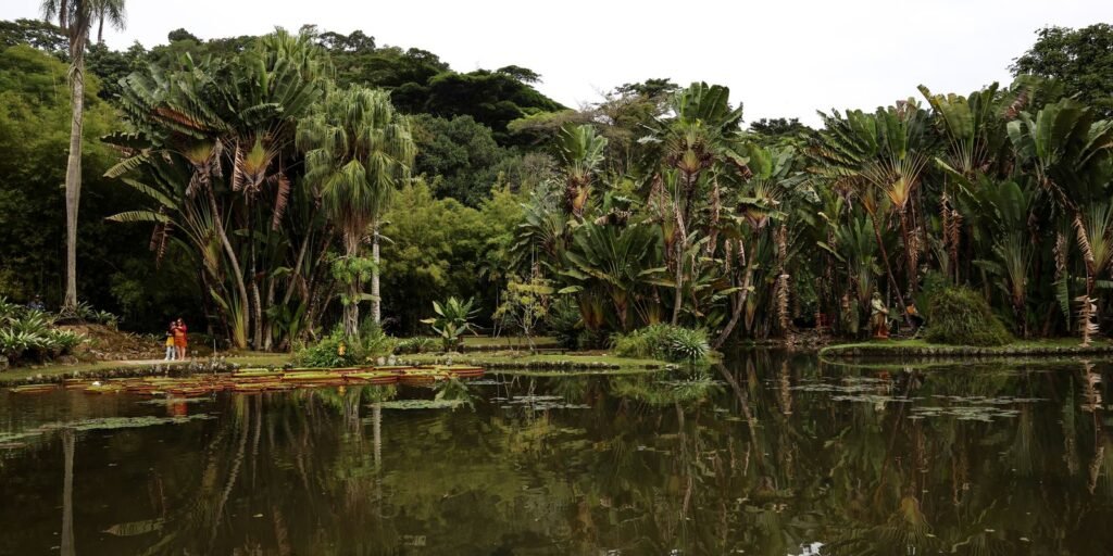 viva-maria-discute-o-papel-do-jornalismo-na-preservacao-ambiental