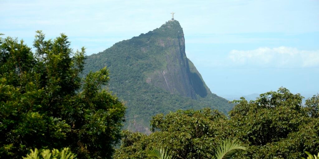 estudo-mostra-o-impacto-das-jaqueiras-na-mata-atlantica